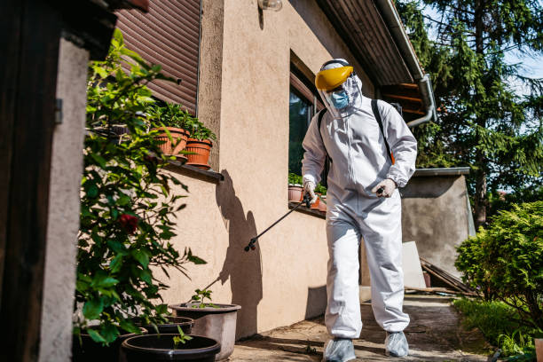 Best Emergency Pest Control  in Wiggins, CO