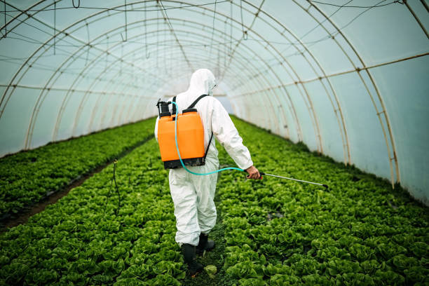 Best Best Pest Control Companies  in Wiggins, CO