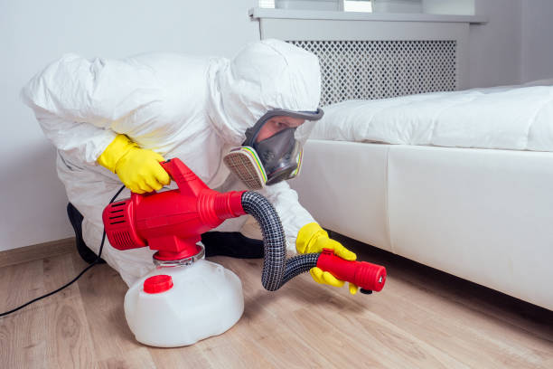 Trusted Wiggins, CO Pest Control Experts