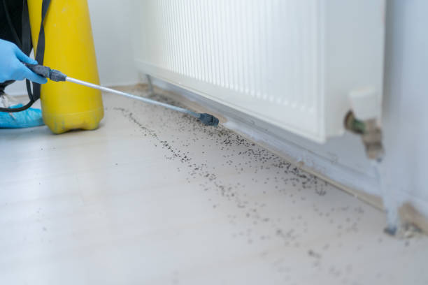 Trusted Wiggins, CO Pest Control Experts