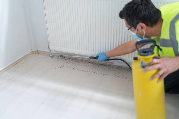 Best Flea Control Services  in Wiggins, CO